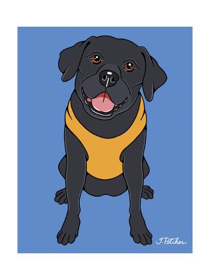 Labrador Black Giclee Print By Tomoyo Pitcher Art Com