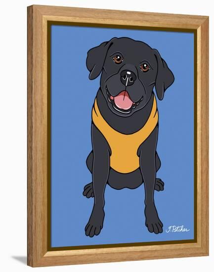 Labrador Black-Tomoyo Pitcher-Framed Premier Image Canvas