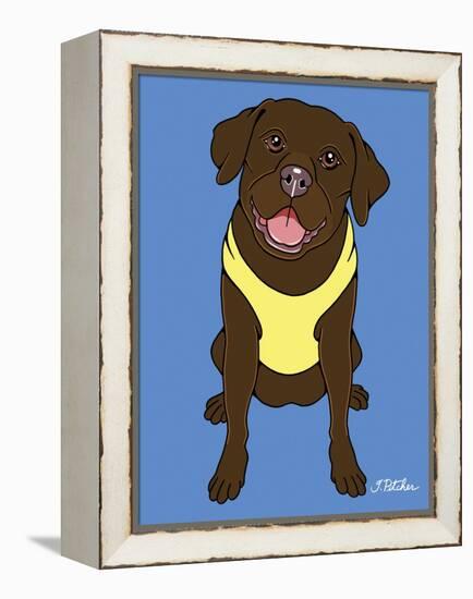 Labrador Chocolate-Tomoyo Pitcher-Framed Premier Image Canvas