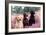 Labrador Dogs Yellow, Chocolate and Black Labradors-null-Framed Photographic Print