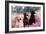 Labrador Dogs Yellow, Chocolate and Black Labradors-null-Framed Photographic Print