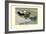 Labrador Duck-Louis Agassiz Fuertes-Framed Art Print