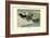 Labrador Duck-Louis Agassiz Fuertes-Framed Art Print