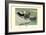 Labrador Duck-Louis Agassiz Fuertes-Framed Art Print