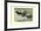 Labrador Duck-Louis Agassiz Fuertes-Framed Art Print