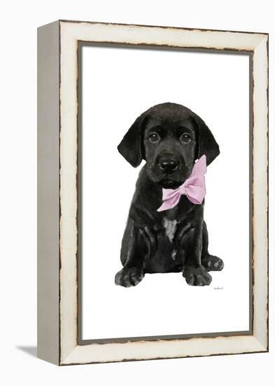 Labrador I-Amanda Greenwood-Framed Stretched Canvas