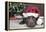 Labrador in Santa Hat Sleeping by Xmas Tree-null-Framed Premier Image Canvas