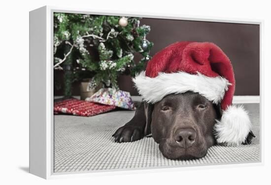 Labrador in Santa Hat Sleeping by Xmas Tree-null-Framed Premier Image Canvas