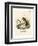 Labrador Jumping Mouse-null-Framed Giclee Print