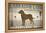 Labrador Lake Chocolate Lab-Ryan Fowler-Framed Stretched Canvas