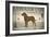 Labrador Lake Chocolate Lab-Ryan Fowler-Framed Art Print