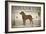 Labrador Lake Chocolate Lab-Ryan Fowler-Framed Art Print