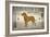 Labrador Lake Yellow Lab-Ryan Fowler-Framed Art Print