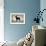 Labrador Love I-Ryan Fowler-Framed Art Print displayed on a wall