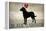 Labrador Love I-Ryan Fowler-Framed Stretched Canvas