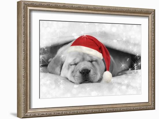 Labrador Puppy Lying under a Blanket Wearing a Christmas Hat-null-Framed Photographic Print