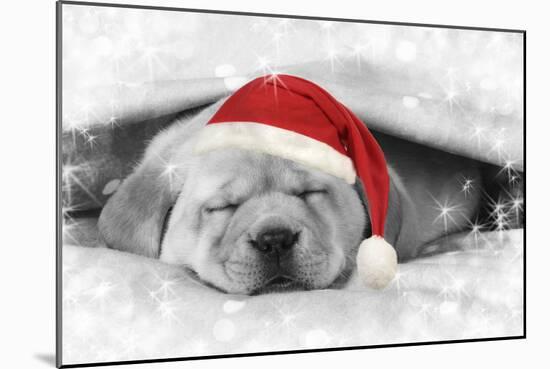 Labrador Puppy Lying under a Blanket Wearing a Christmas Hat-null-Mounted Photographic Print