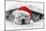 Labrador Puppy Lying under a Blanket Wearing a Christmas Hat-null-Mounted Photographic Print