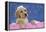 Labrador Retriever 9 Wk Old Puppies With-null-Framed Premier Image Canvas