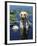 Labrador Retriever Dog in Lake, Illinois, USA-Lynn M. Stone-Framed Photographic Print