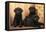 Labrador Retriever Dog Three Black Puppies-null-Framed Premier Image Canvas