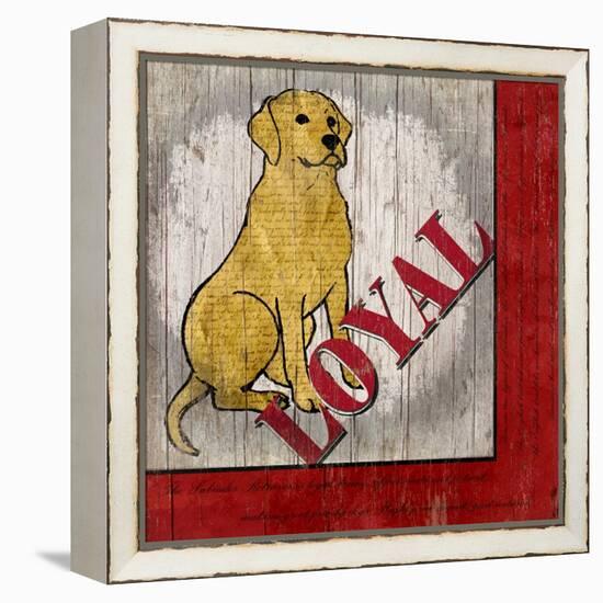 Labrador Retriever II-Karen Williams-Framed Premier Image Canvas