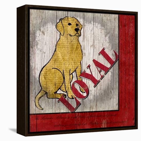 Labrador Retriever II-Karen Williams-Framed Premier Image Canvas