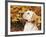 Labrador Retriever, Illinois, USA-Lynn M. Stone-Framed Photographic Print