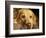 Labrador Retriever, Keizer, Oregon, USA-Rick A. Brown-Framed Photographic Print