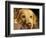 Labrador Retriever, Keizer, Oregon, USA-Rick A. Brown-Framed Photographic Print