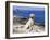 Labrador Retriever on Coast, Maine, USA-Lynn M. Stone-Framed Photographic Print