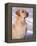 Labrador Retriever Portrait in Snow-Adriano Bacchella-Framed Premier Image Canvas