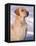 Labrador Retriever Portrait in Snow-Adriano Bacchella-Framed Premier Image Canvas