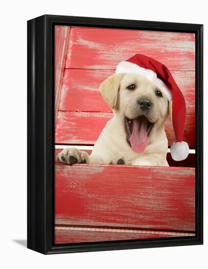 Labrador Retriever Puppy in a Wooden Box-null-Framed Premier Image Canvas