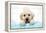 Labrador Retriever Puppy with in Bath with Soap Bubbles-null-Framed Premier Image Canvas