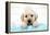 Labrador Retriever Puppy with in Bath with Soap Bubbles-null-Framed Premier Image Canvas