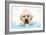 Labrador Retriever Puppy with in Bath with Soap Bubbles-null-Framed Photographic Print