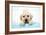 Labrador Retriever Puppy with in Bath with Soap Bubbles-null-Framed Photographic Print