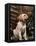 Labrador Retriever Puppy-Joe McDonald-Framed Premier Image Canvas