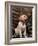 Labrador Retriever Puppy-Joe McDonald-Framed Photographic Print