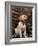 Labrador Retriever Puppy-Joe McDonald-Framed Photographic Print