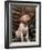 Labrador Retriever Puppy-Joe McDonald-Framed Photographic Print