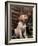 Labrador Retriever Puppy-Joe McDonald-Framed Photographic Print