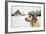 Labrador Retriever with Cap on His Head in Winter-Jaromir Chalabala-Framed Photographic Print