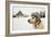 Labrador Retriever with Cap on His Head in Winter-Jaromir Chalabala-Framed Photographic Print