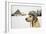 Labrador Retriever with Cap on His Head in Winter-Jaromir Chalabala-Framed Photographic Print