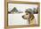 Labrador Retriever with Cap on His Head in Winter-Jaromir Chalabala-Framed Premier Image Canvas