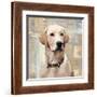 Labrador Retriever-Keri Rodgers-Framed Giclee Print