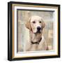 Labrador Retriever-Keri Rodgers-Framed Giclee Print