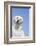 Labrador Retriever-null-Framed Photographic Print